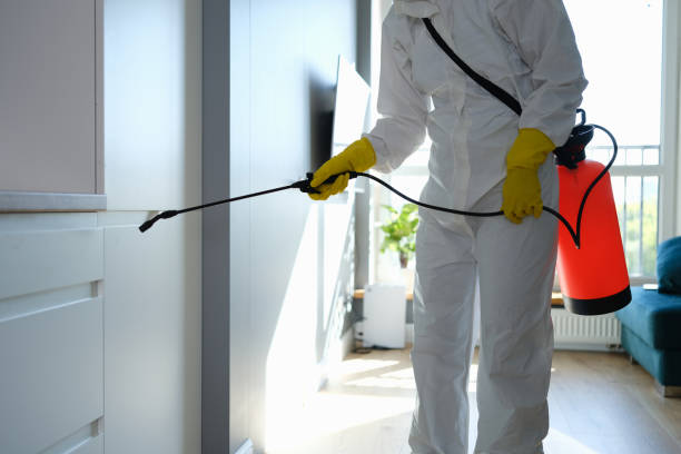 Best Mold Cleaning Services  in Orange, OH